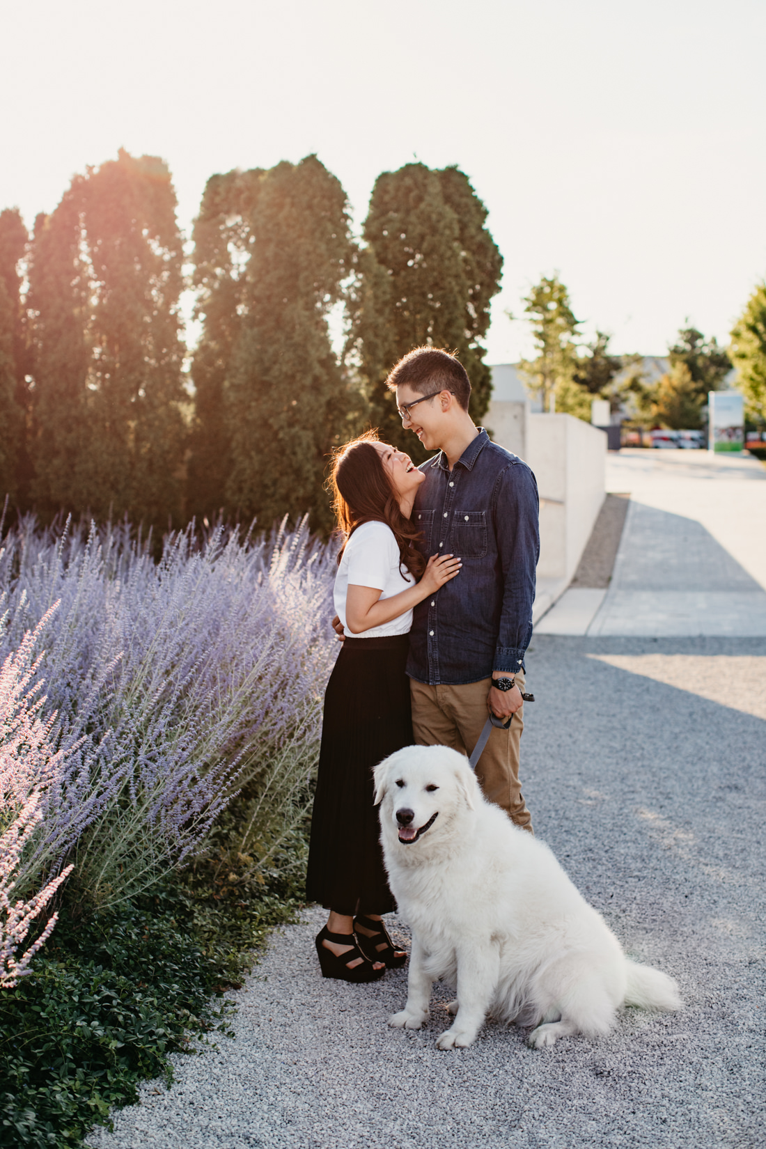 Engagement Photos with dog | Aga Khan Museum engagement | lavender portrait location | Toronto Wedding Photographer | EightyFifth Street Photography