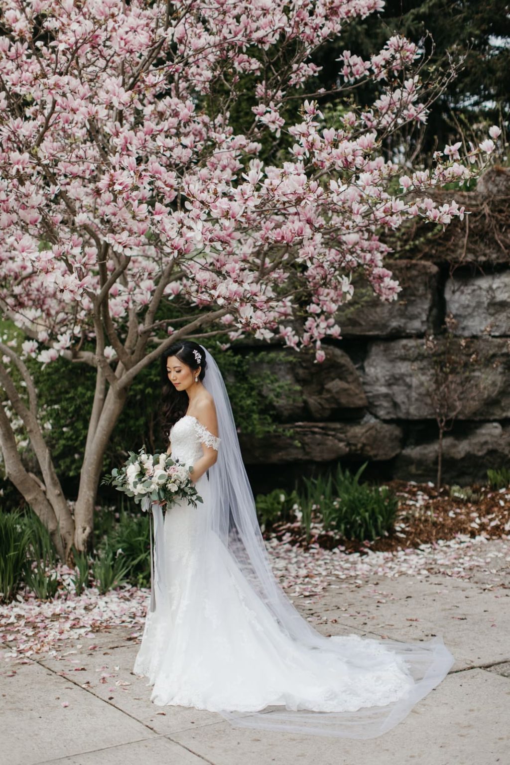 bride under magnolia tree in full bloom